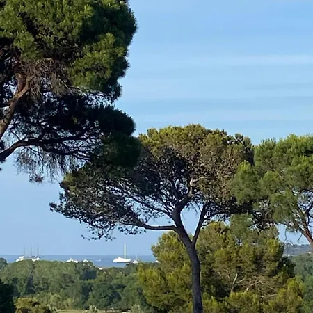 Californien Superbe Piscine Lagon Dans La Residence, A 1km, St Tropez 7km! * Gassin