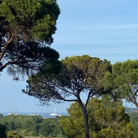 Feriehus Californien Renove, Superbe Piscine Dans La Residence, Central, St Tropez 7km! Gassin