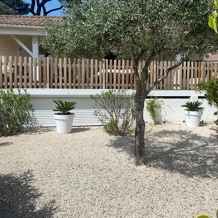 Californien Superbe Piscine Lagon Dans La Residence, A 1km, St Tropez 7km! Ferienhaus