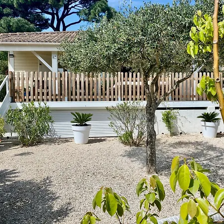 Ferienhaus Californien Superbe Piscine Lagon Dans La Residence, A 1km, St Tropez 7km! *